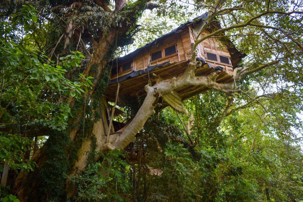 Villa Kumbuk Tree House Tissamaharama Esterno foto