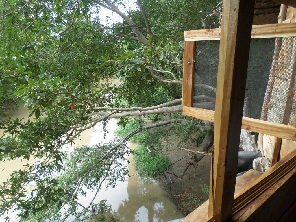 Villa Kumbuk Tree House Tissamaharama Esterno foto