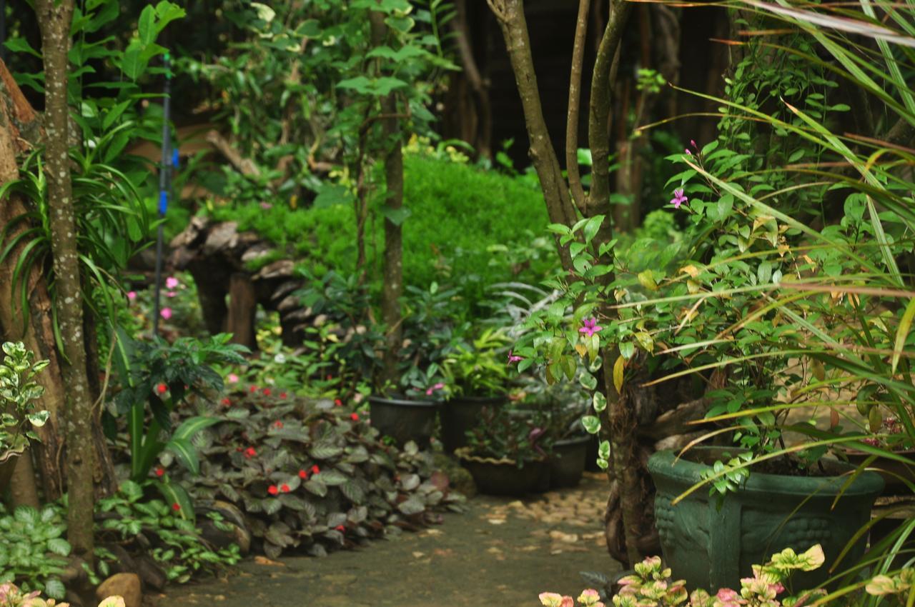 Villa Kumbuk Tree House Tissamaharama Esterno foto