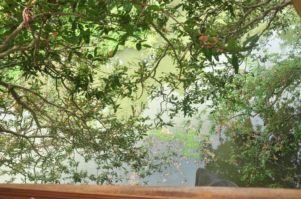 Villa Kumbuk Tree House Tissamaharama Esterno foto