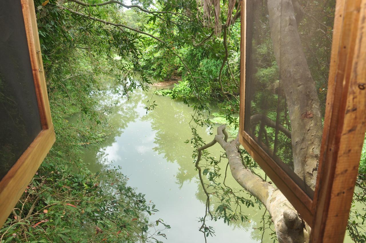 Villa Kumbuk Tree House Tissamaharama Esterno foto