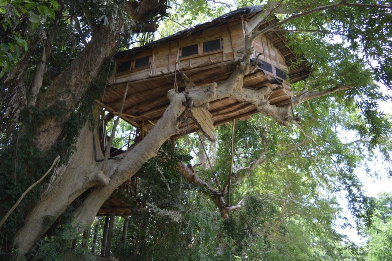 Villa Kumbuk Tree House Tissamaharama Esterno foto
